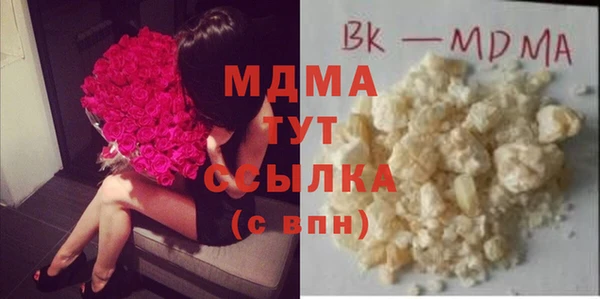 хмурый Алексин