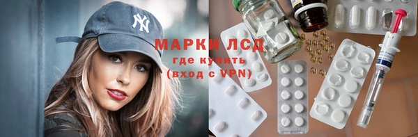 хмурый Алексин