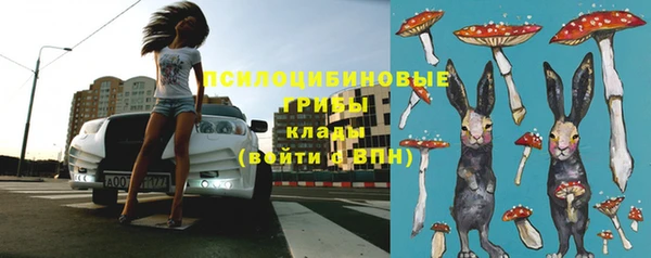 каннабис Алзамай